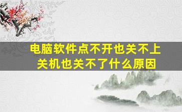 电脑软件点不开也关不上 关机也关不了什么原因